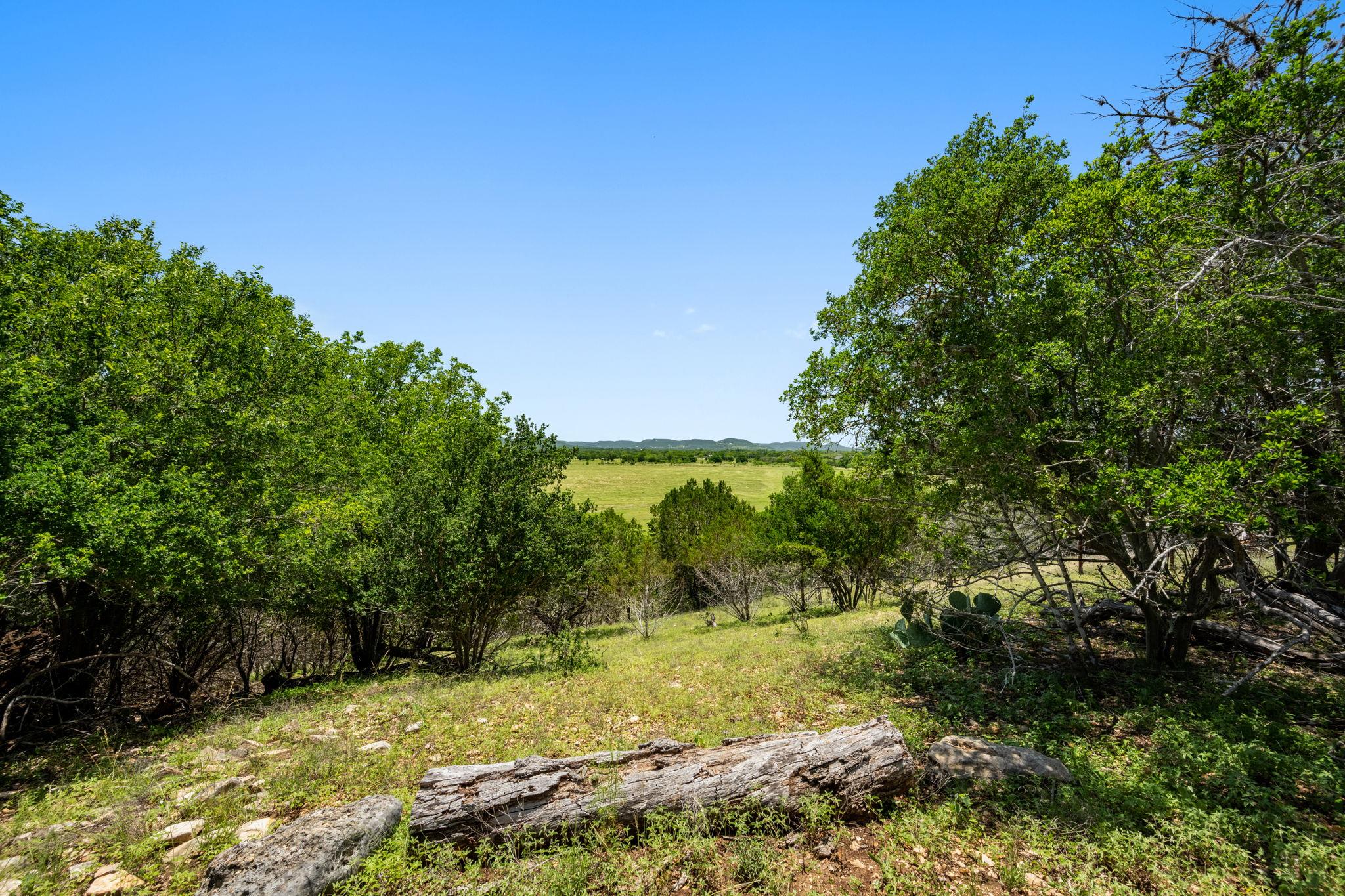 13132 State Highway 16 Highway, Medina, TX 78055