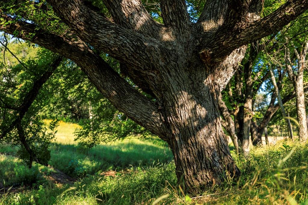 3736-6 County Rd 113 Rd, Llano, TX 78643