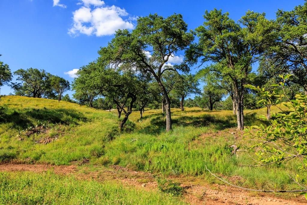 3736-6 County Rd 113 Rd, Llano, TX 78643