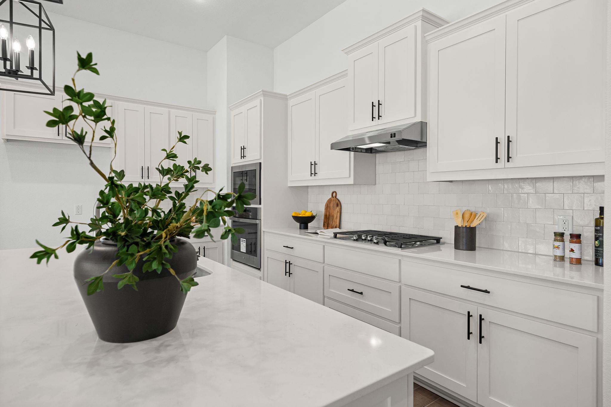 1301 White Daisy Ln, Georgetown, TX 78628