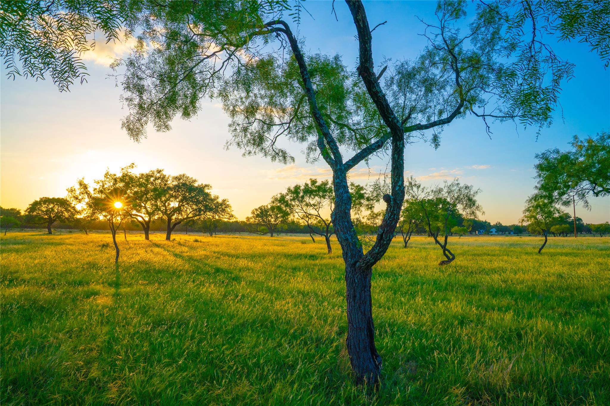 0000 Golden Hour Ranch, Johnson City, TX 78636