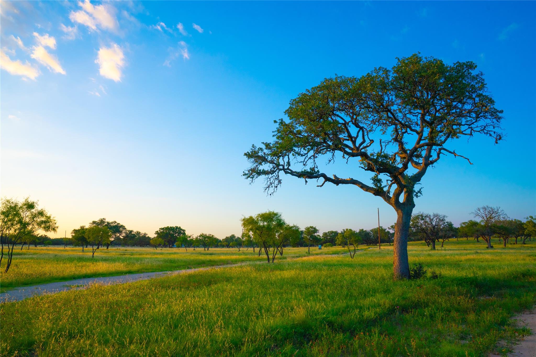 0000 Golden Hour Ranch, Johnson City, TX 78636