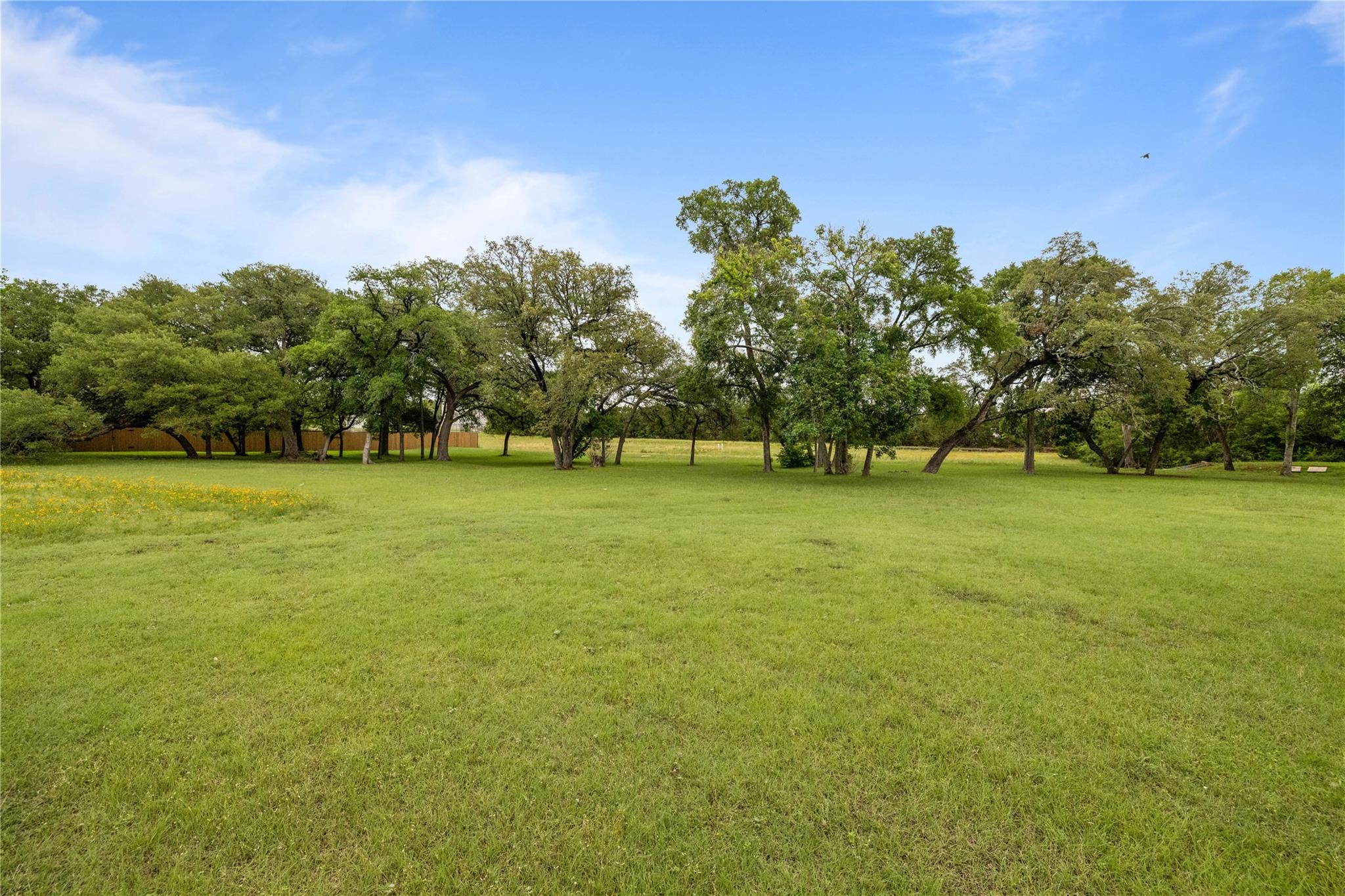 2217 Drue Ln, Cedar Park, TX 78613