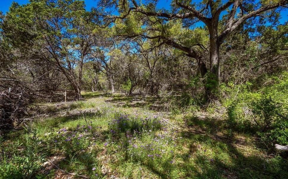 16205 Big Oak Cir, Leander, TX 78641