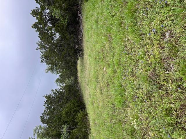 16205 Big Oak Cir, Leander, TX 78641