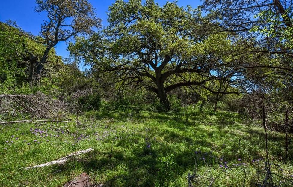 16205 Big Oak Cir, Leander, TX 78641