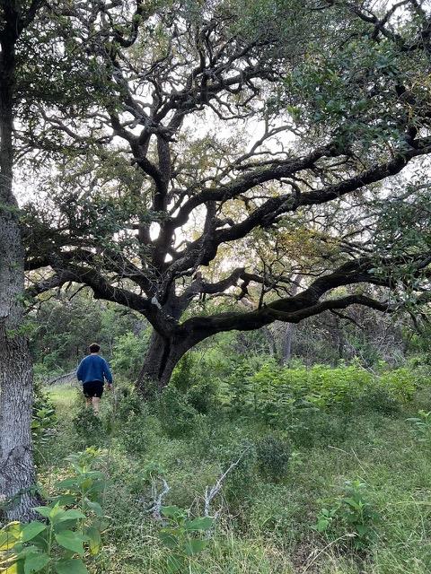 16205 Big Oak Cir, Leander, TX 78641