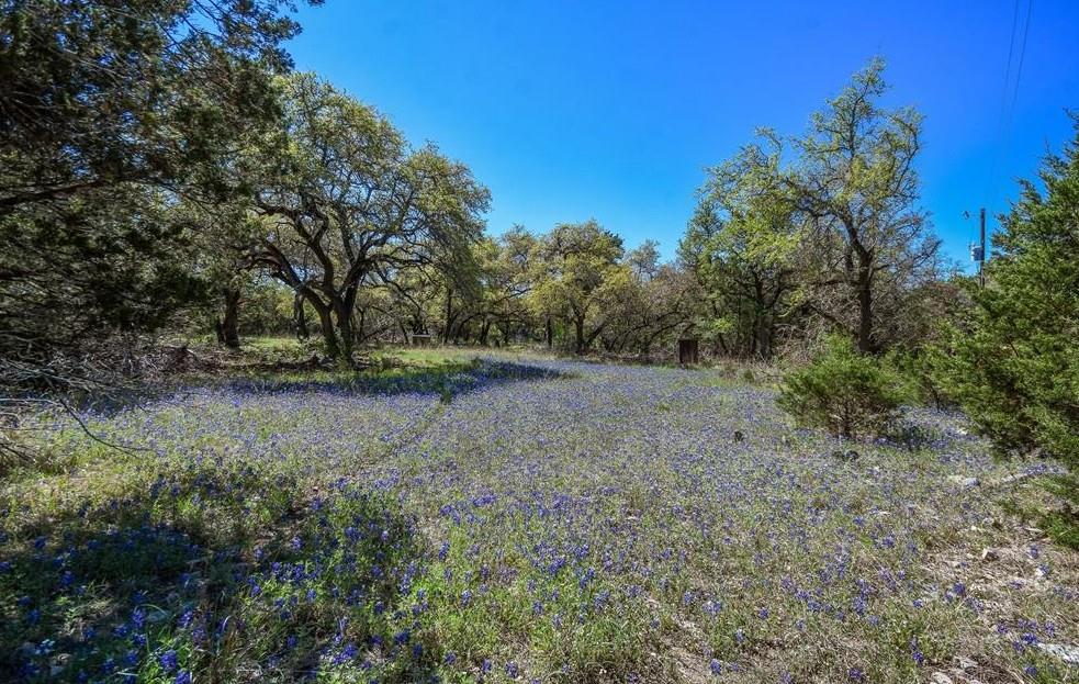 16205 Big Oak Cir, Leander, TX 78641