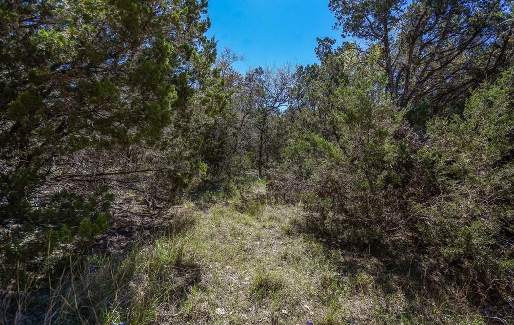 16205 Big Oak Cir, Leander, TX 78641