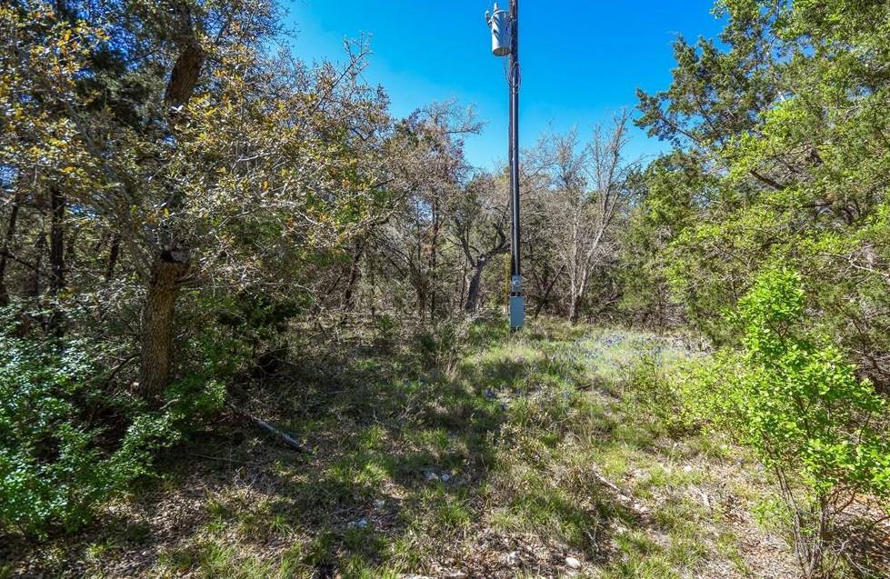 16205 Big Oak Cir, Leander, TX 78641