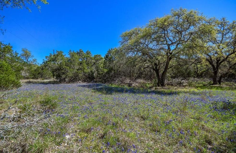 16205 Big Oak Cir, Leander, TX 78641