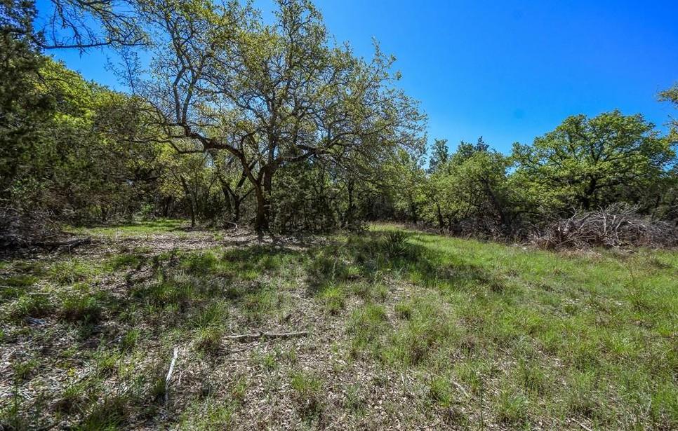 16205 Big Oak Cir, Leander, TX 78641