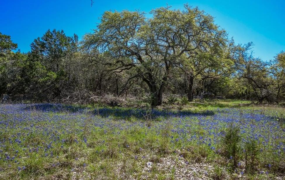 16205 Big Oak Cir, Leander, TX 78641