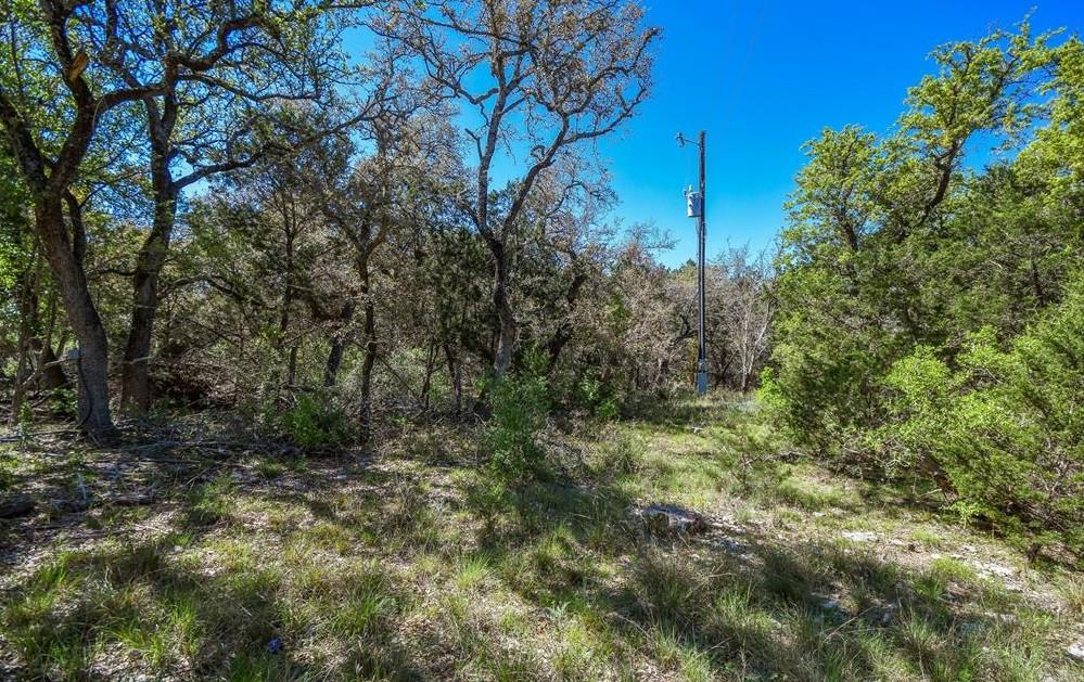 16205 Big Oak Cir, Leander, TX 78641