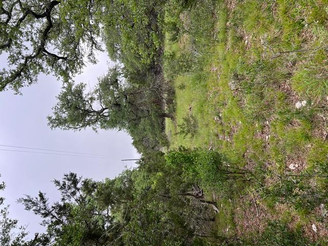 16205 Big Oak Cir, Leander, TX 78641