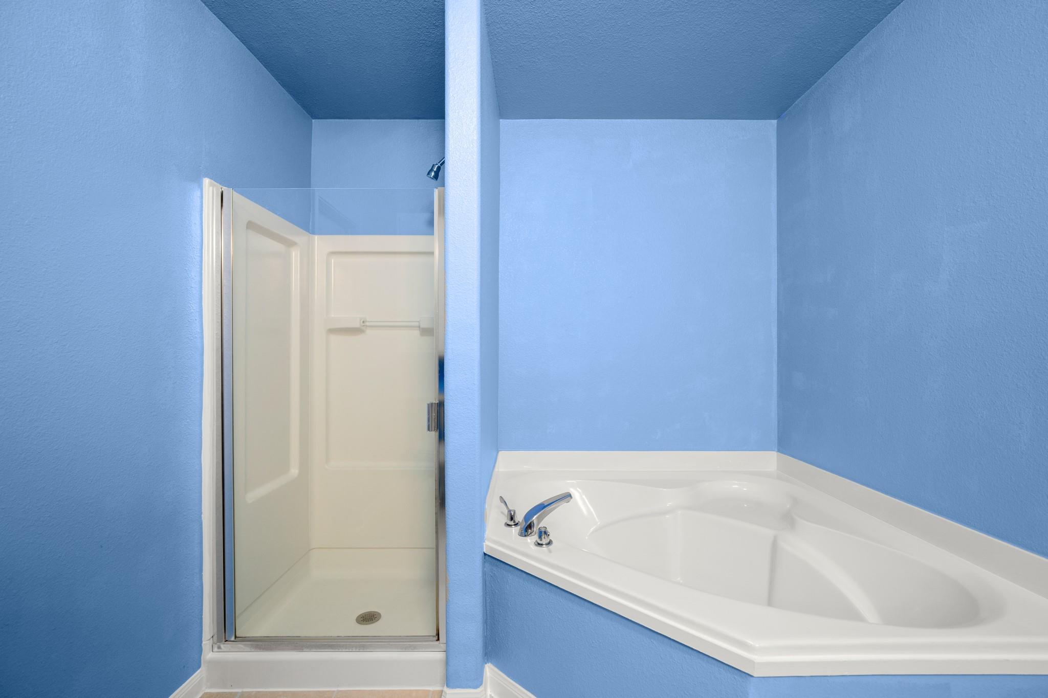 13312 Nelson Houser St, Manor, TX 78653