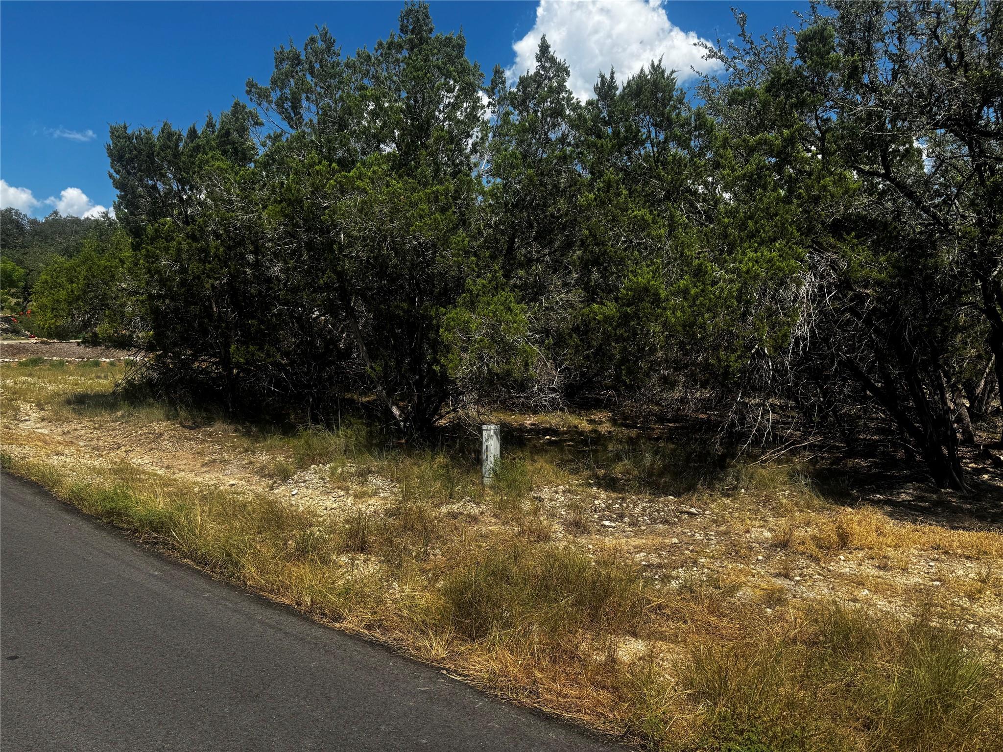 20702 Harrison Cv, Lago Vista, TX 78645