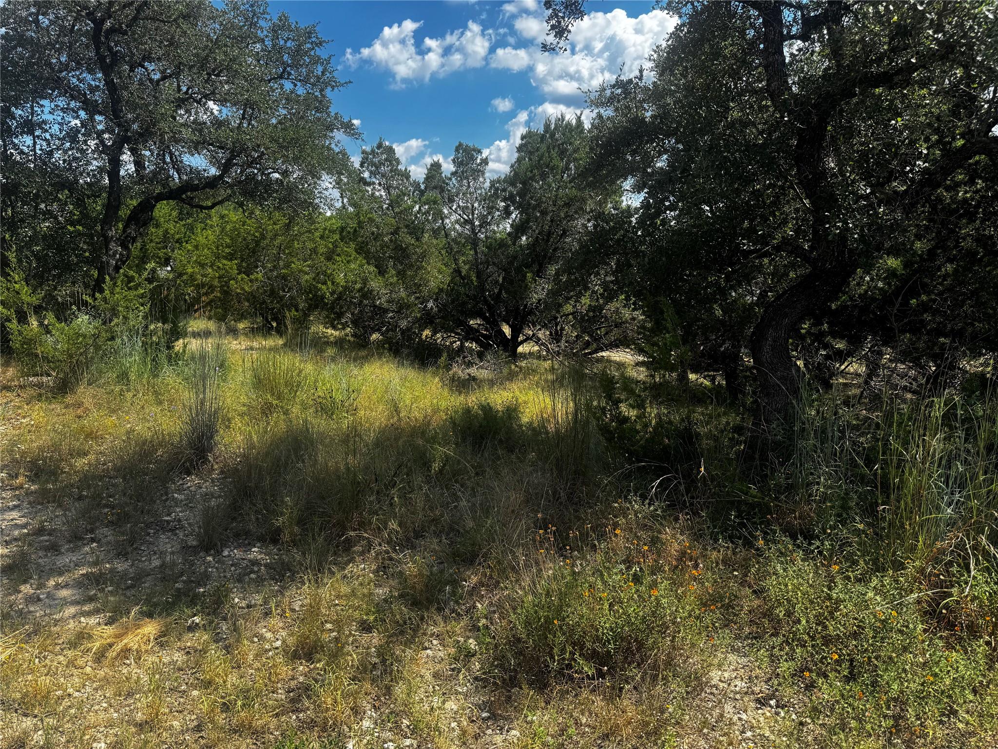 20702 Harrison Cv, Lago Vista, TX 78645