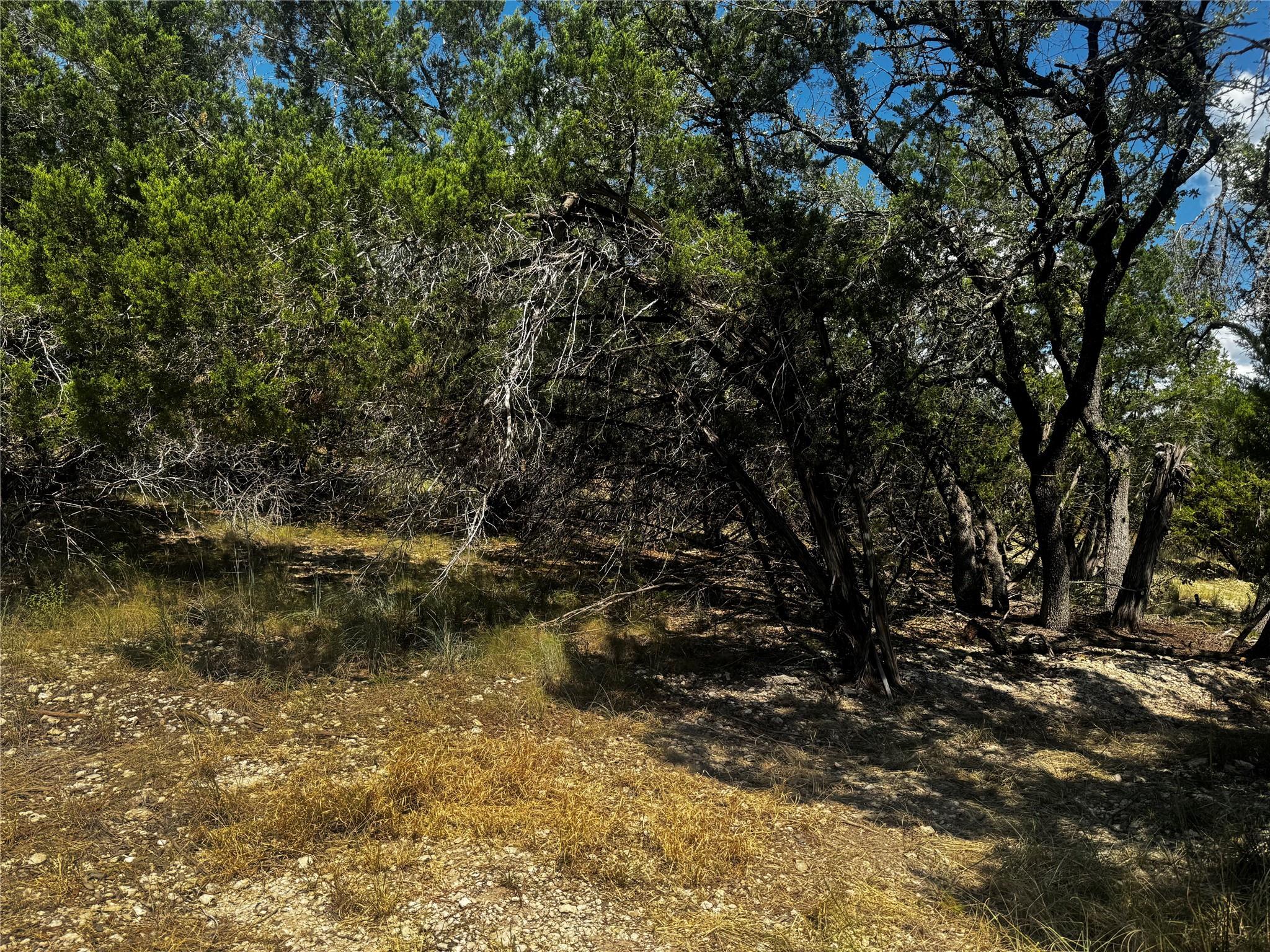 20702 Harrison Cv, Lago Vista, TX 78645