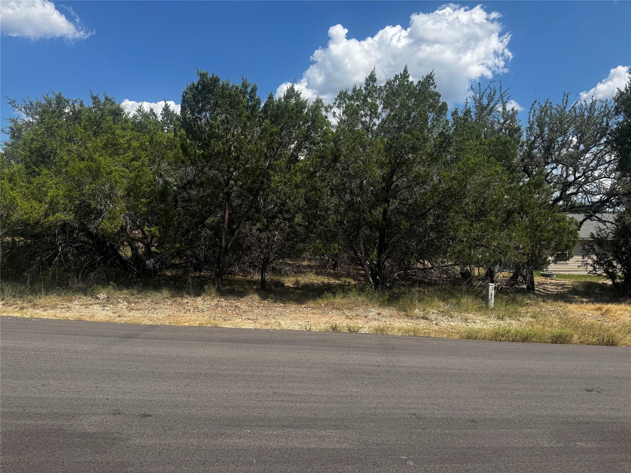 20702 Harrison Cv, Lago Vista, TX 78645