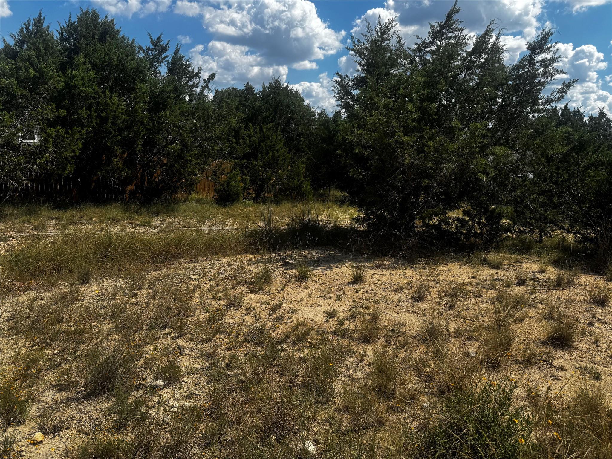 20702 Harrison Cv, Lago Vista, TX 78645