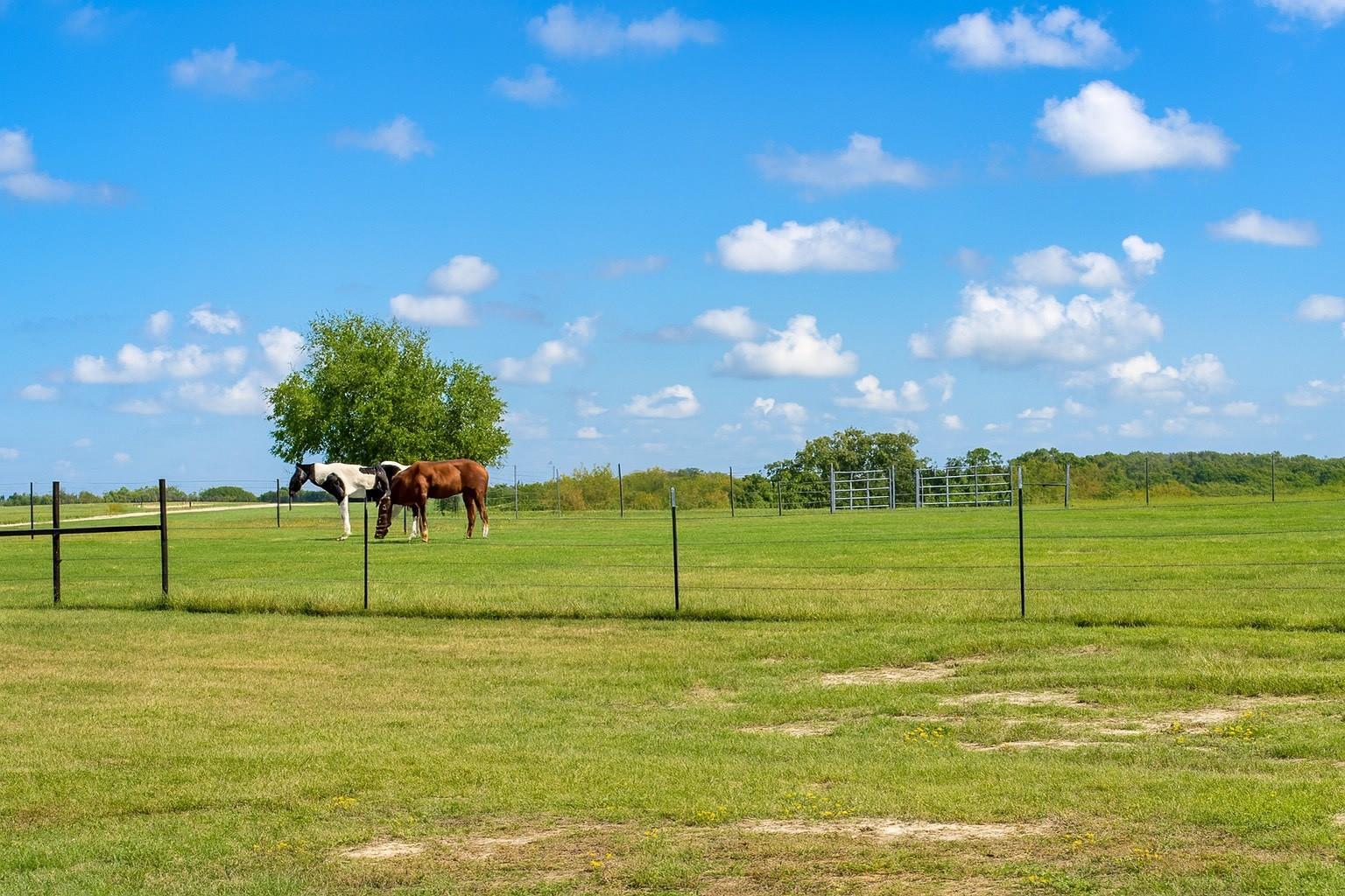 3060 FM 1712, Rockdale, TX 76567