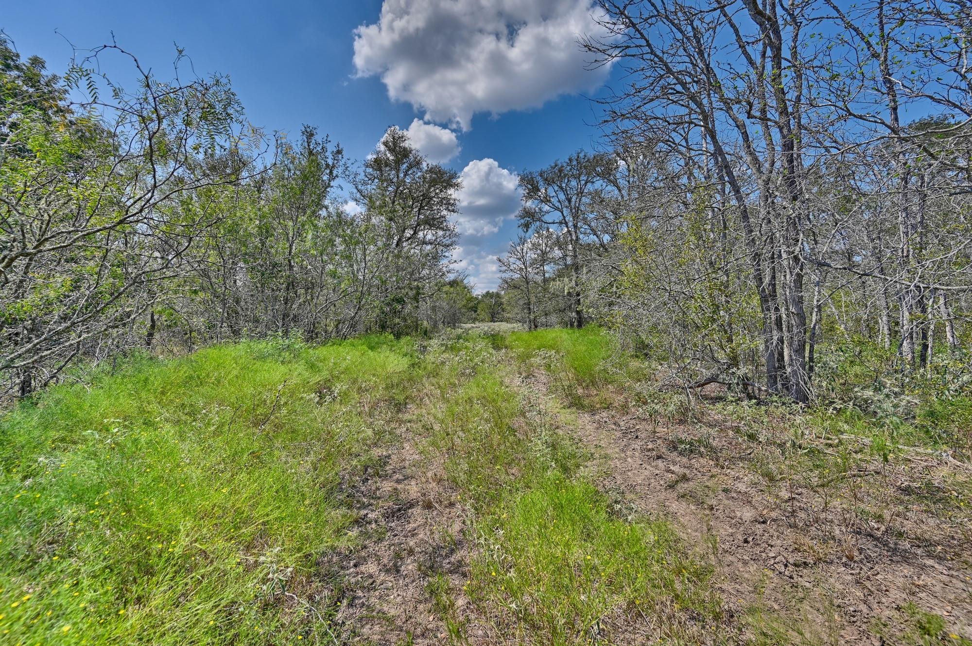 TBD(+/- 237.91 AC) HWY 36 S, Caldwell, TX 77836