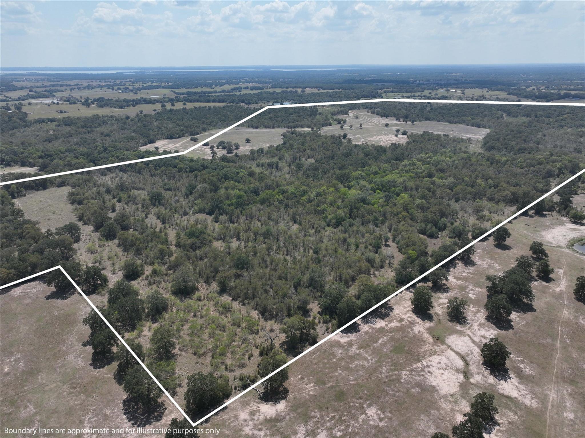 TBD(+/- 237.91 AC) HWY 36 S, Caldwell, TX 77836