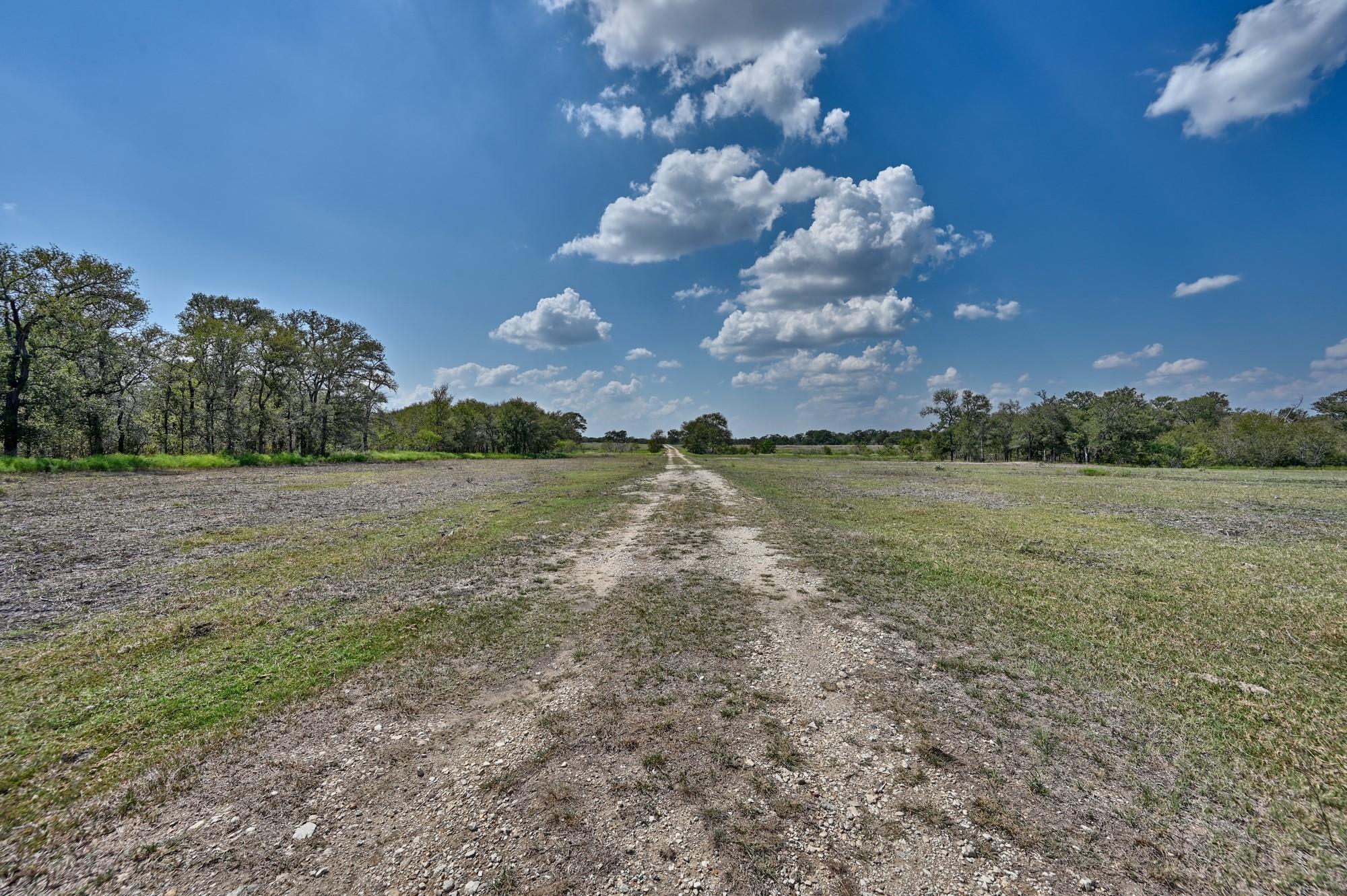 TBD(+/- 237.91 AC) HWY 36 S, Caldwell, TX 77836
