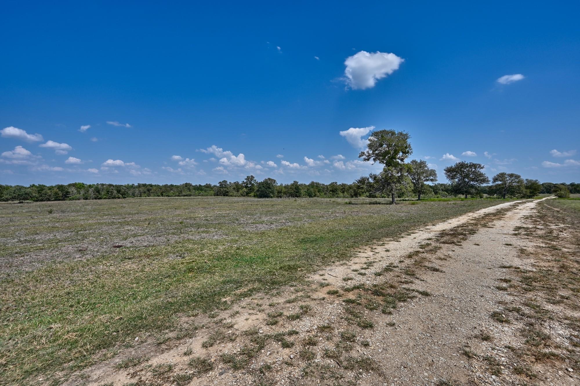 TBD(+/- 237.91 AC) HWY 36 S, Caldwell, TX 77836