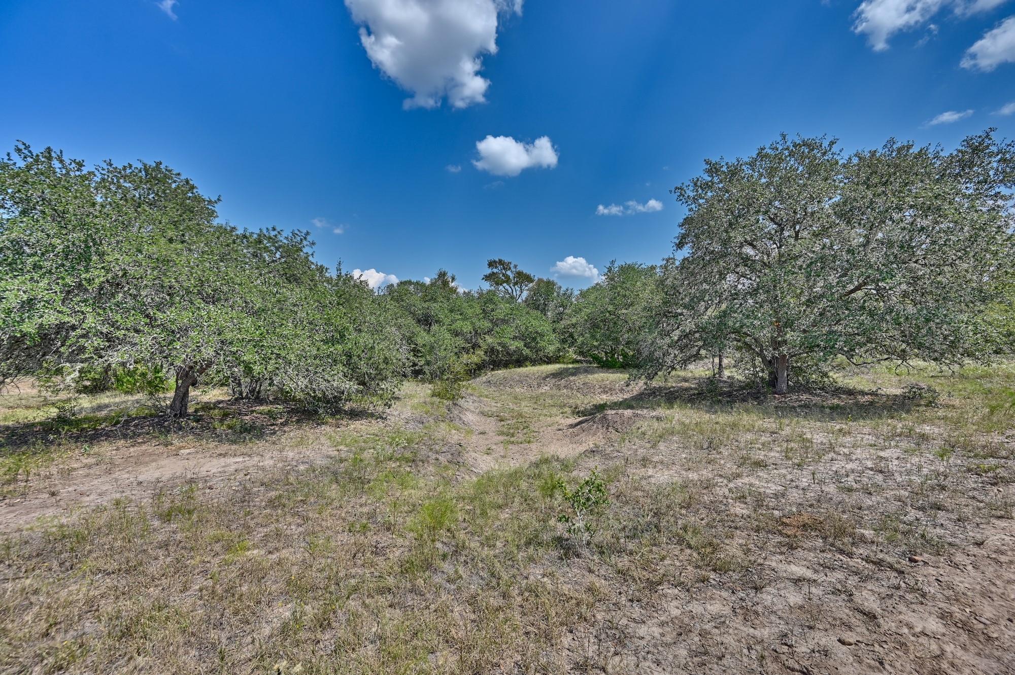 TBD(+/- 237.91 AC) HWY 36 S, Caldwell, TX 77836