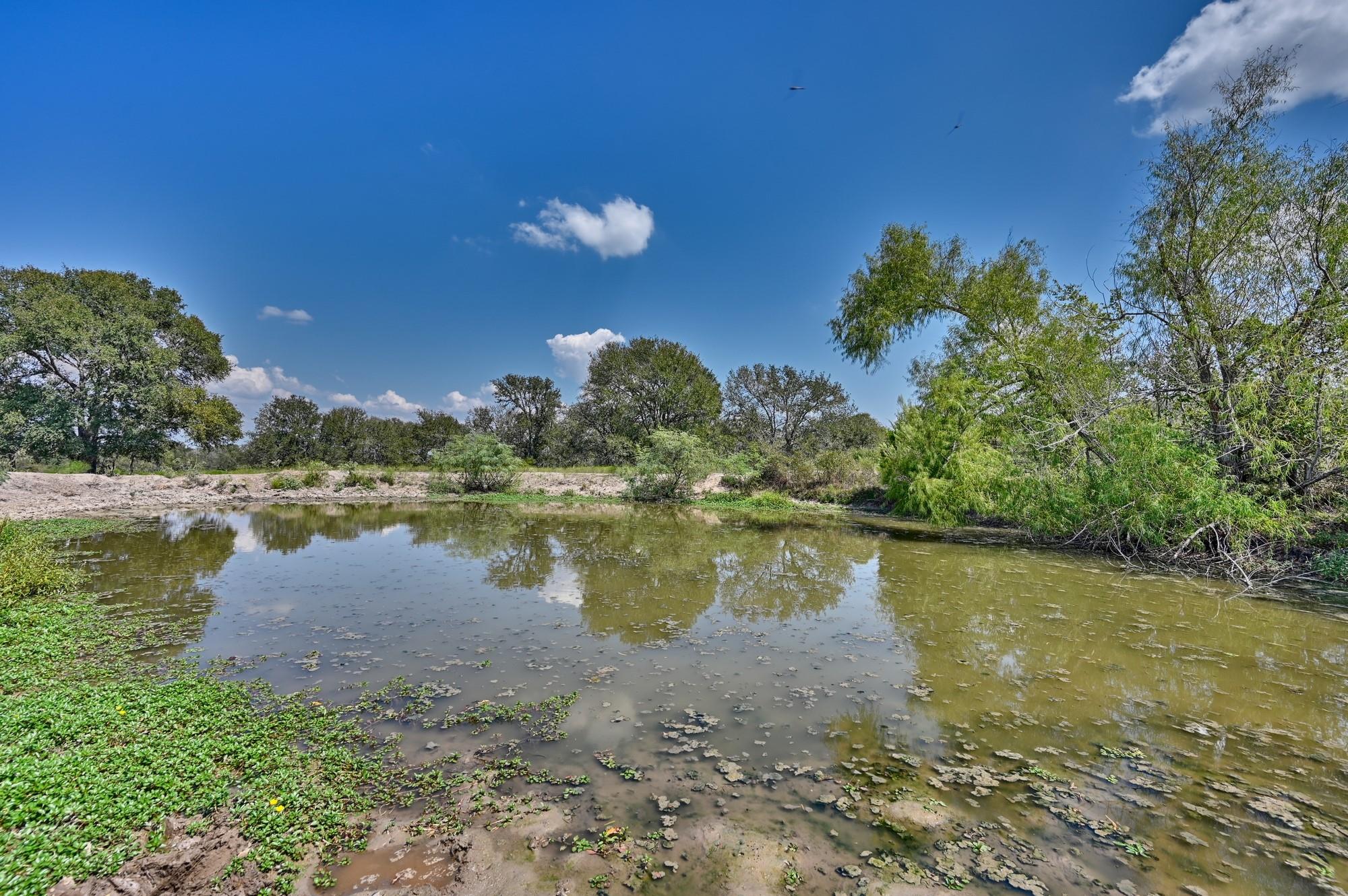 TBD(+/- 237.91 AC) HWY 36 S, Caldwell, TX 77836