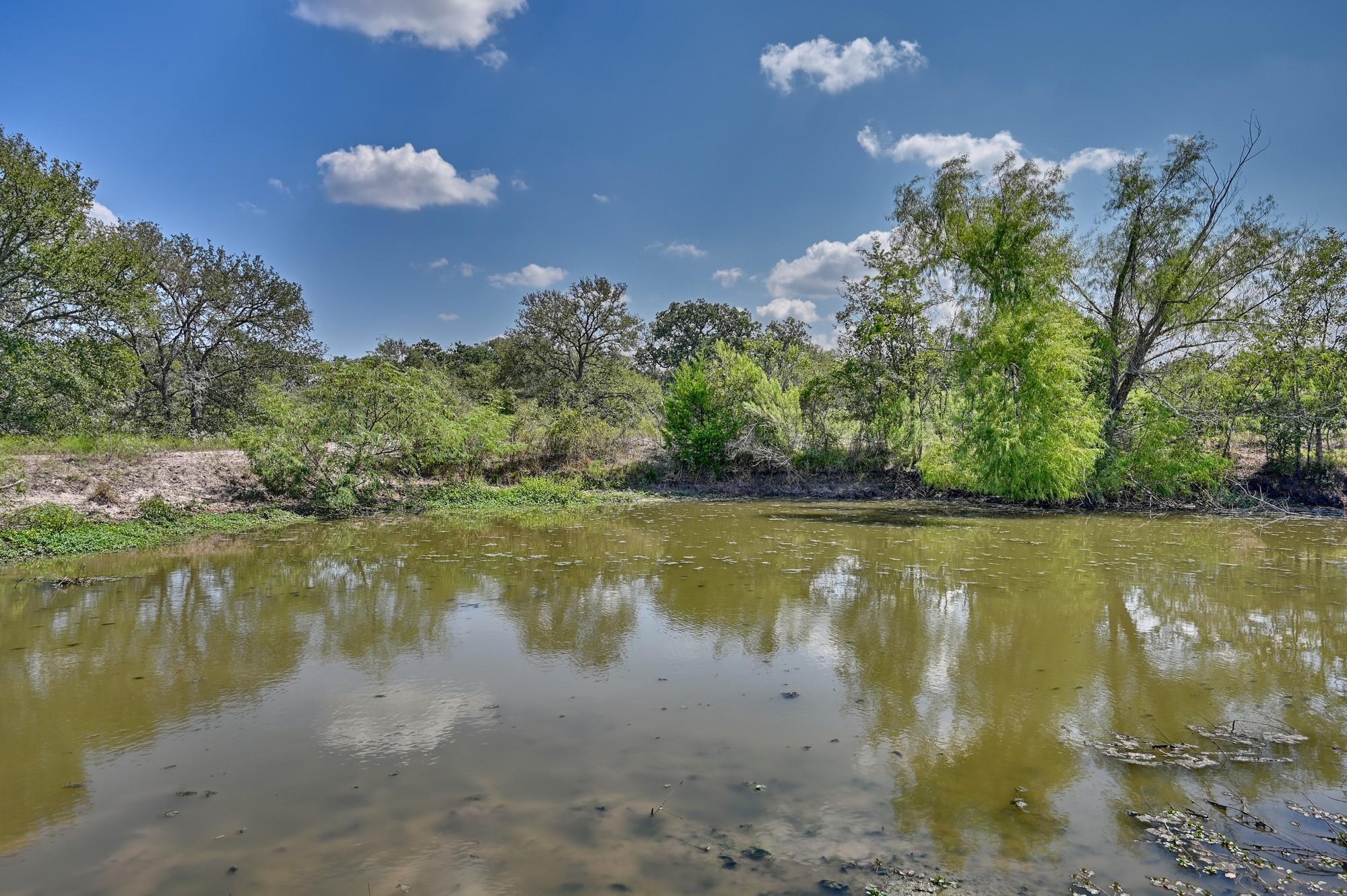 TBD(+/- 237.91 AC) HWY 36 S, Caldwell, TX 77836
