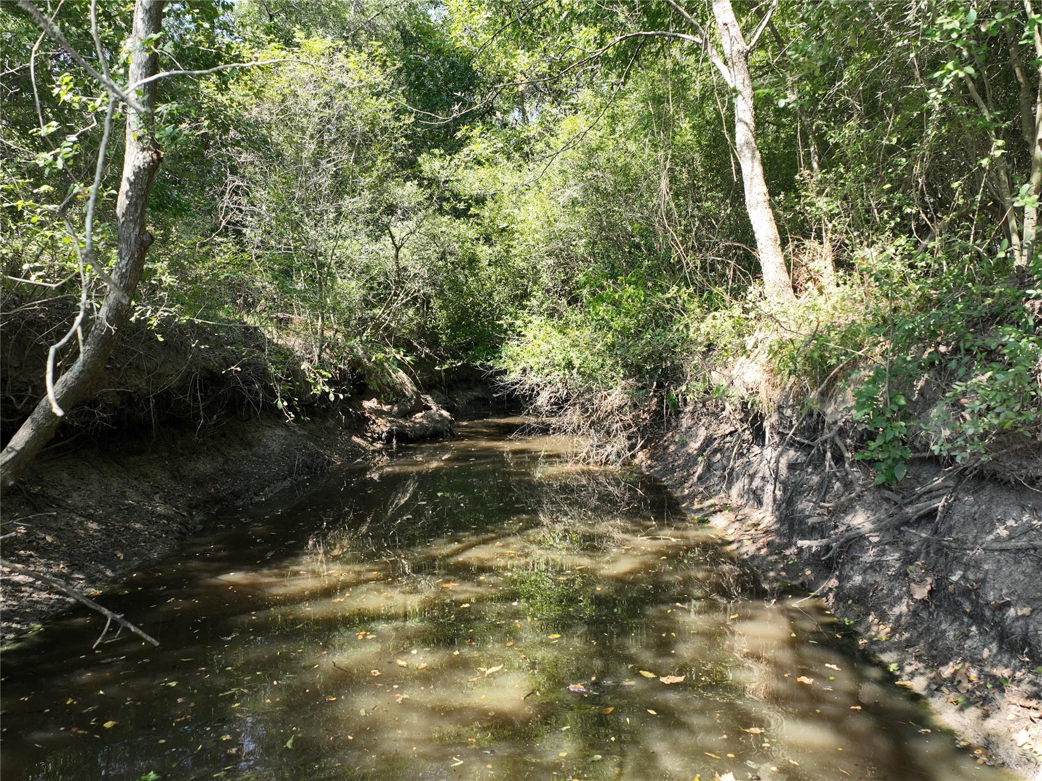 TBD(+/- 237.91 AC) HWY 36 S, Caldwell, TX 77836