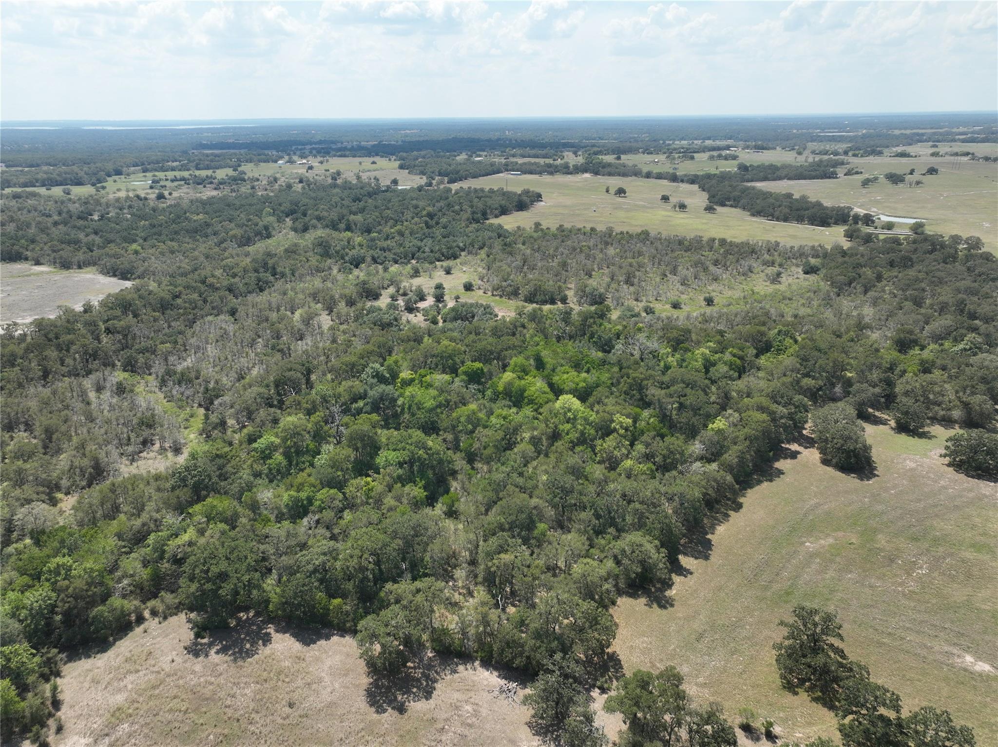 TBD(+/- 237.91 AC) HWY 36 S, Caldwell, TX 77836
