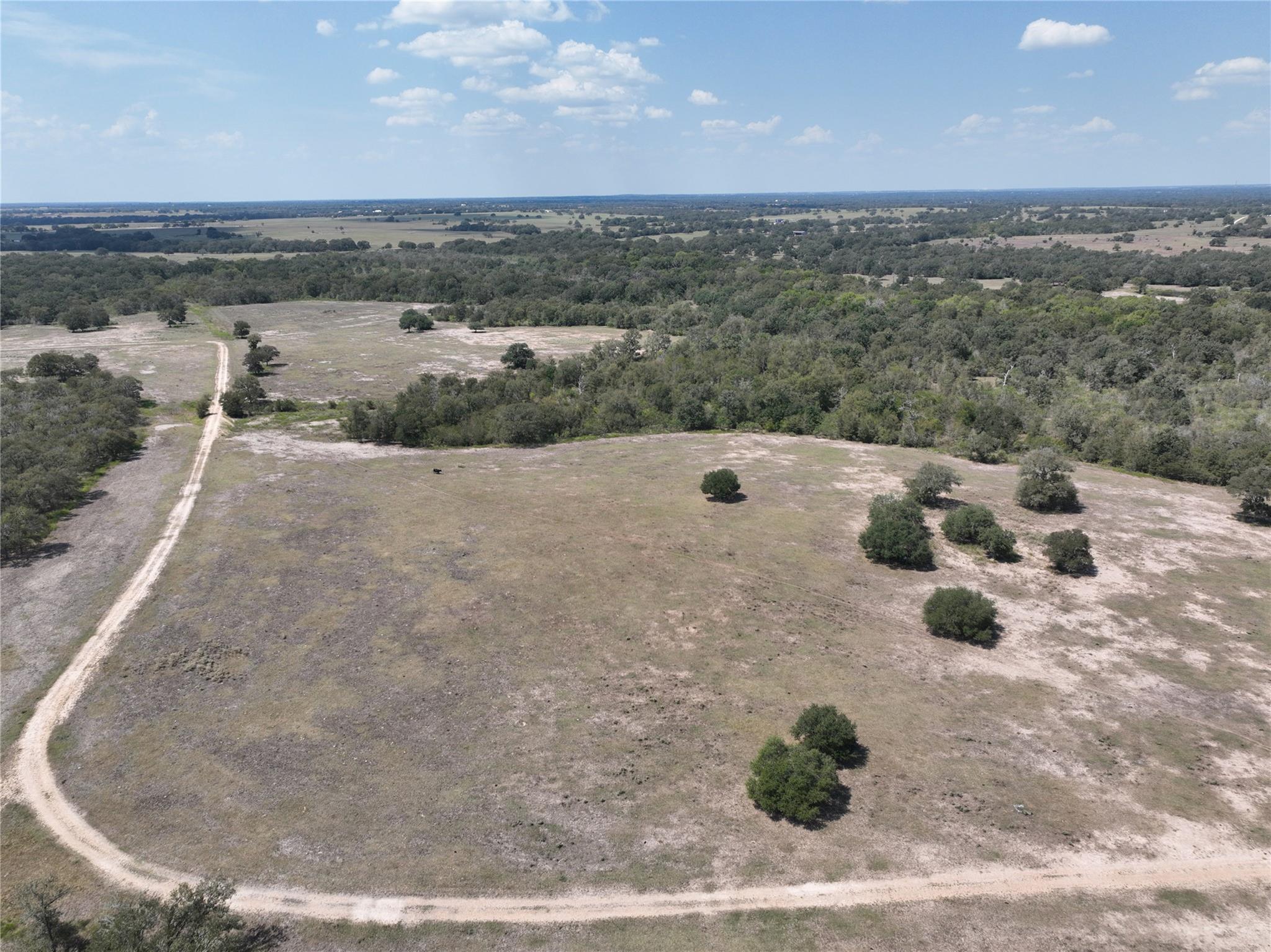 TBD(+/- 237.91 AC) HWY 36 S, Caldwell, TX 77836
