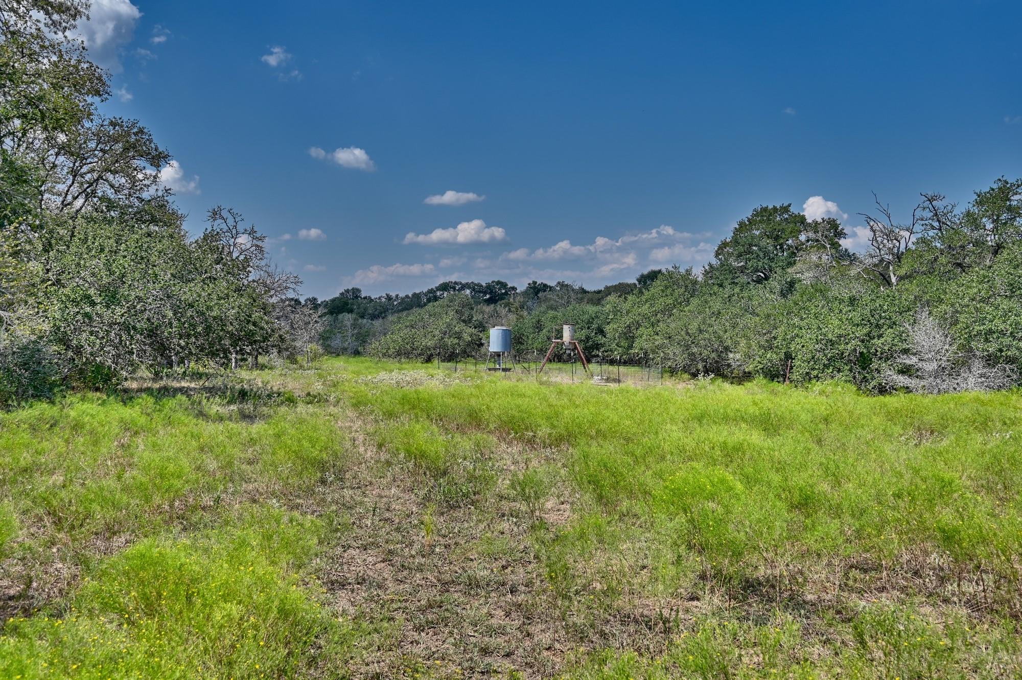 TBD(+/- 237.91 AC) HWY 36 S, Caldwell, TX 77836