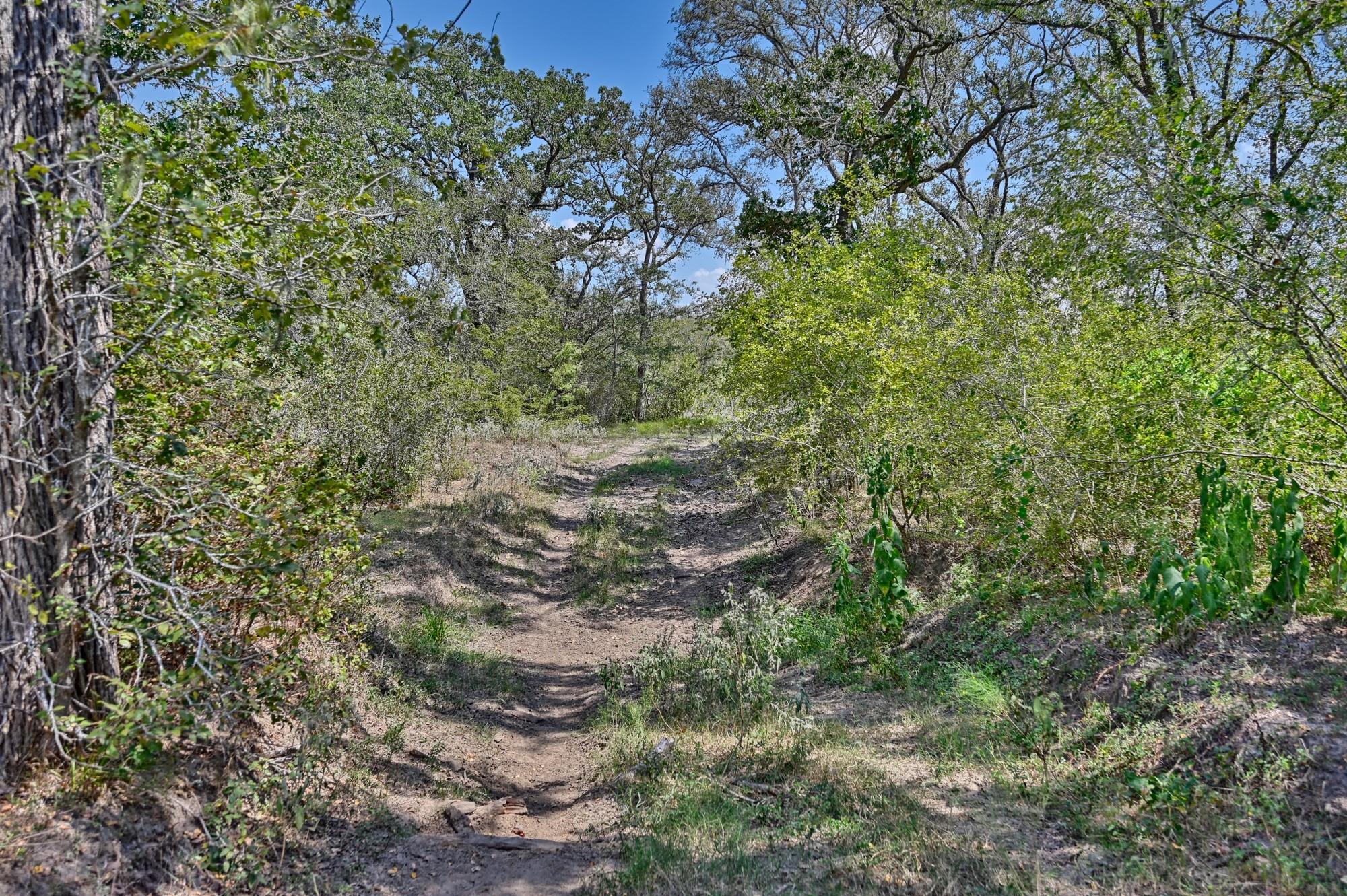 TBD(+/- 237.91 AC) HWY 36 S, Caldwell, TX 77836