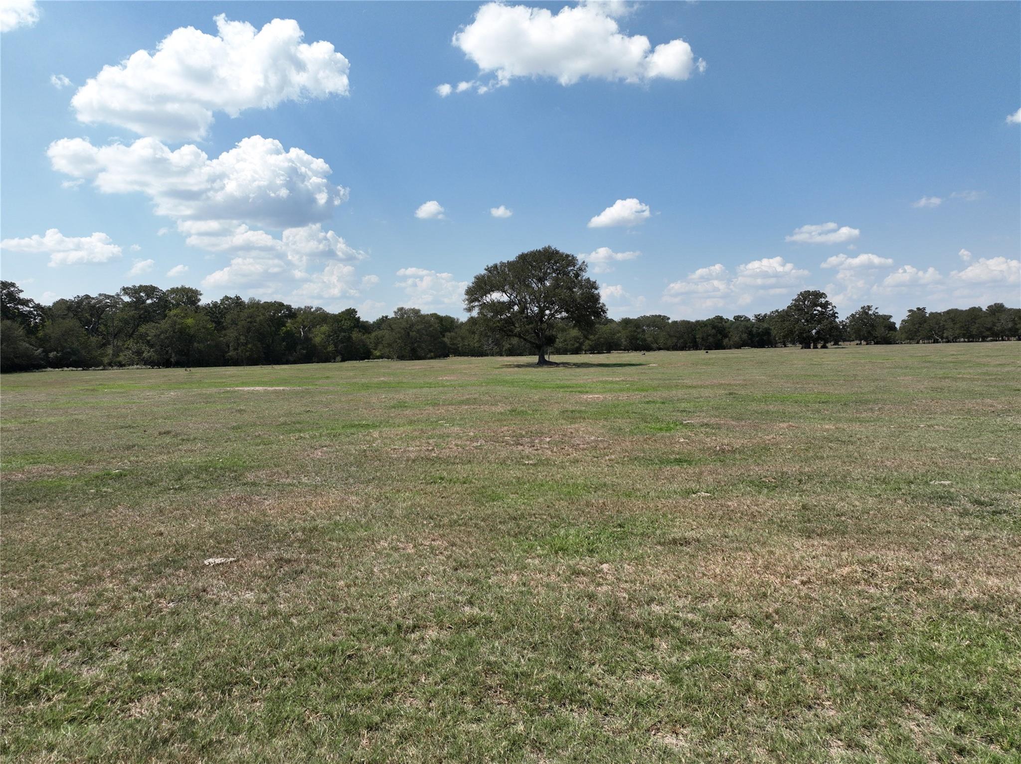 TBD(+/- 237.91 AC) HWY 36 S, Caldwell, TX 77836