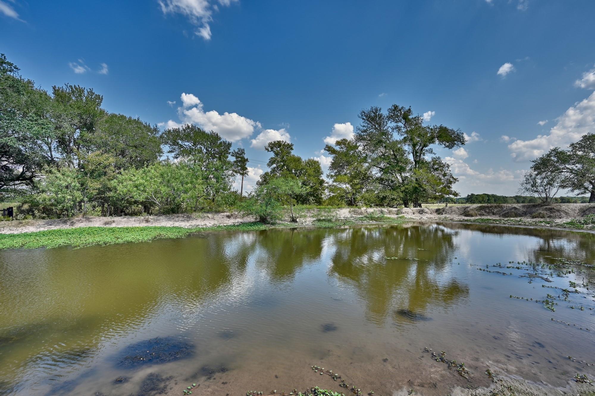 TBD(+/- 237.91 AC) HWY 36 S, Caldwell, TX 77836