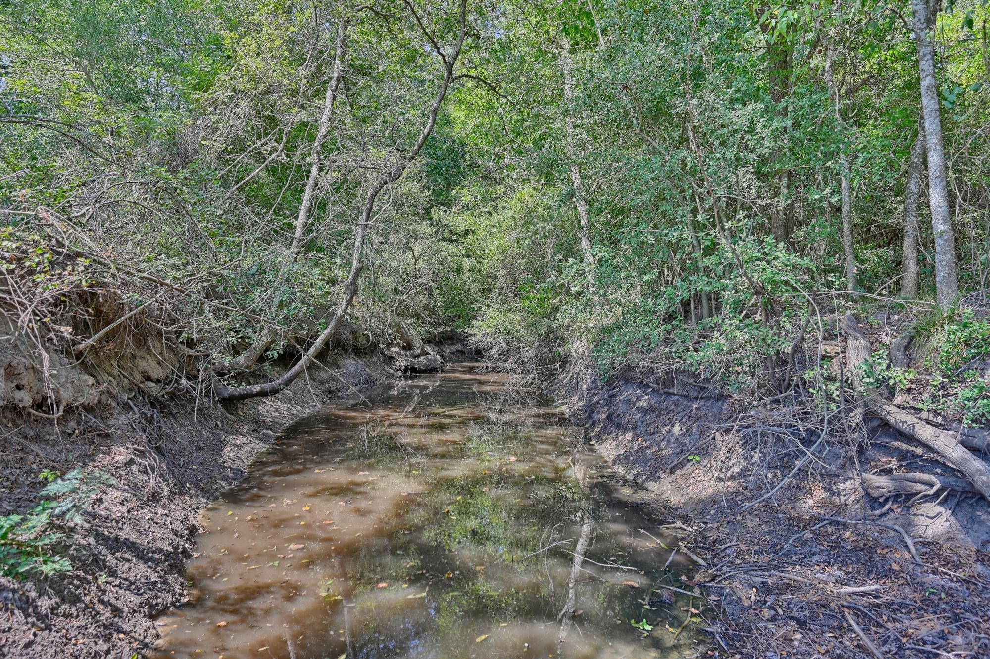 TBD(+/- 237.91 AC) HWY 36 S, Caldwell, TX 77836