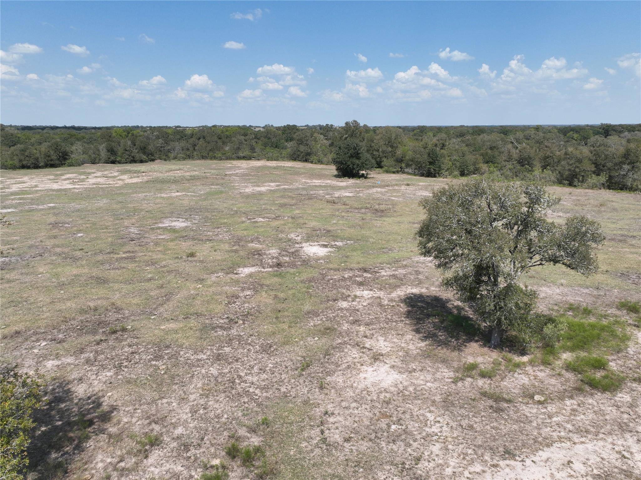TBD(+/- 237.91 AC) HWY 36 S, Caldwell, TX 77836
