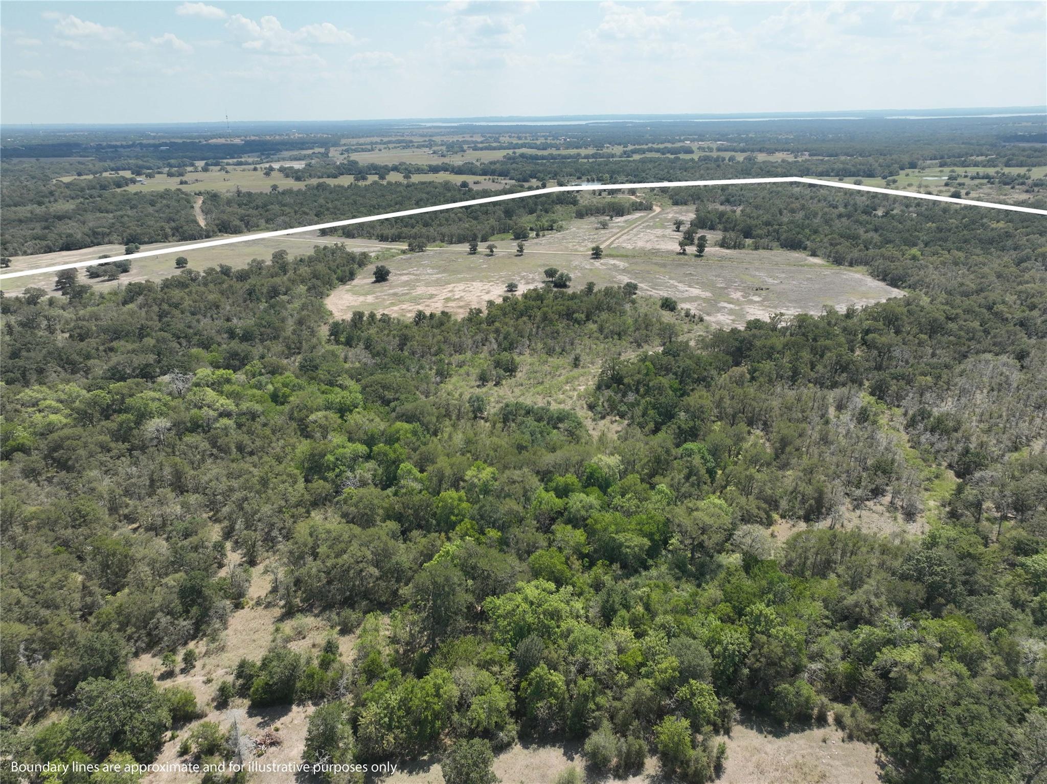 TBD(+/- 237.91 AC) HWY 36 S, Caldwell, TX 77836