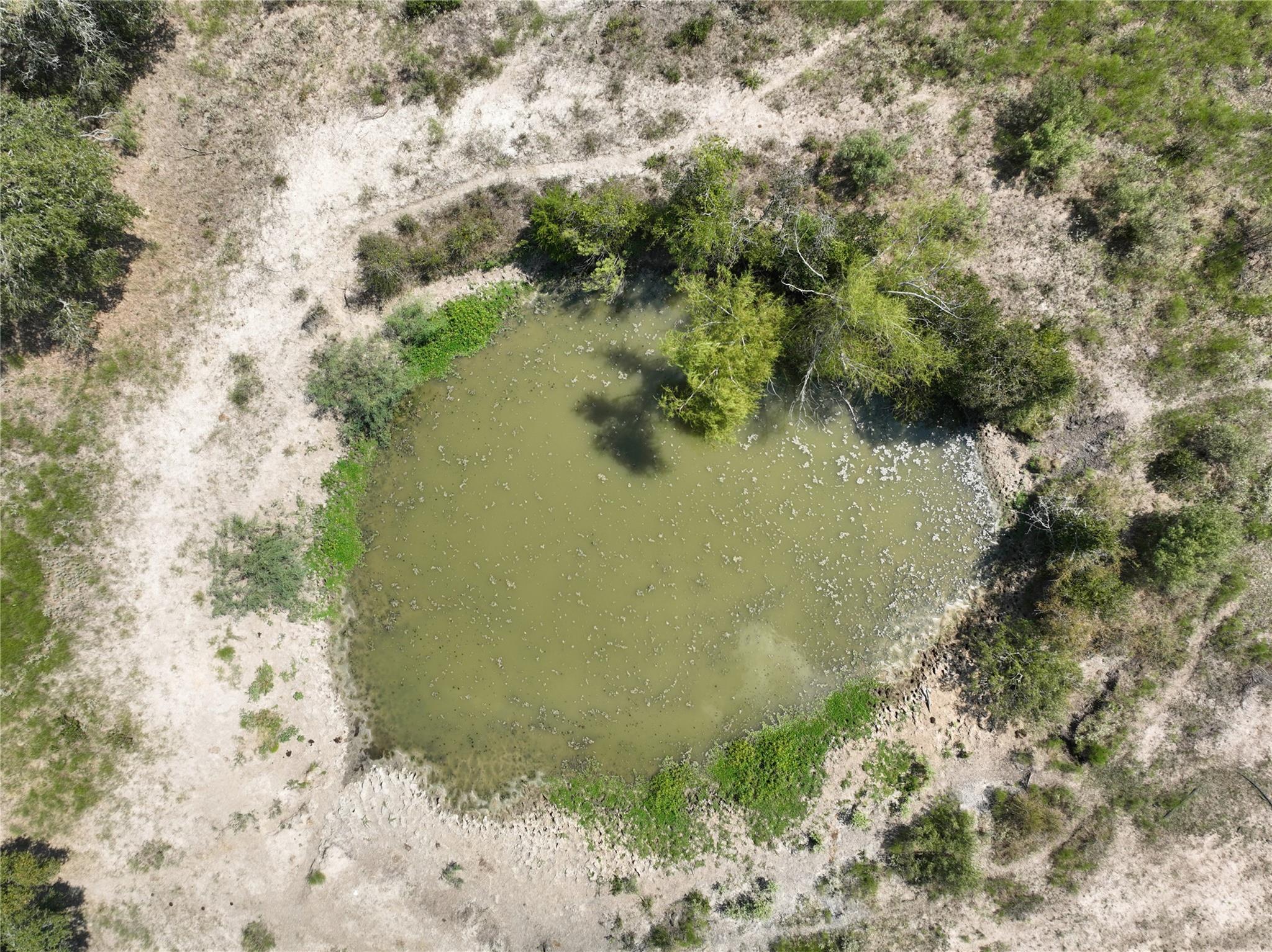 TBD(+/- 237.91 AC) HWY 36 S, Caldwell, TX 77836