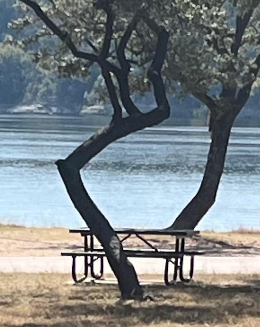 2905 Hancock Ave, Lago Vista, TX 78645