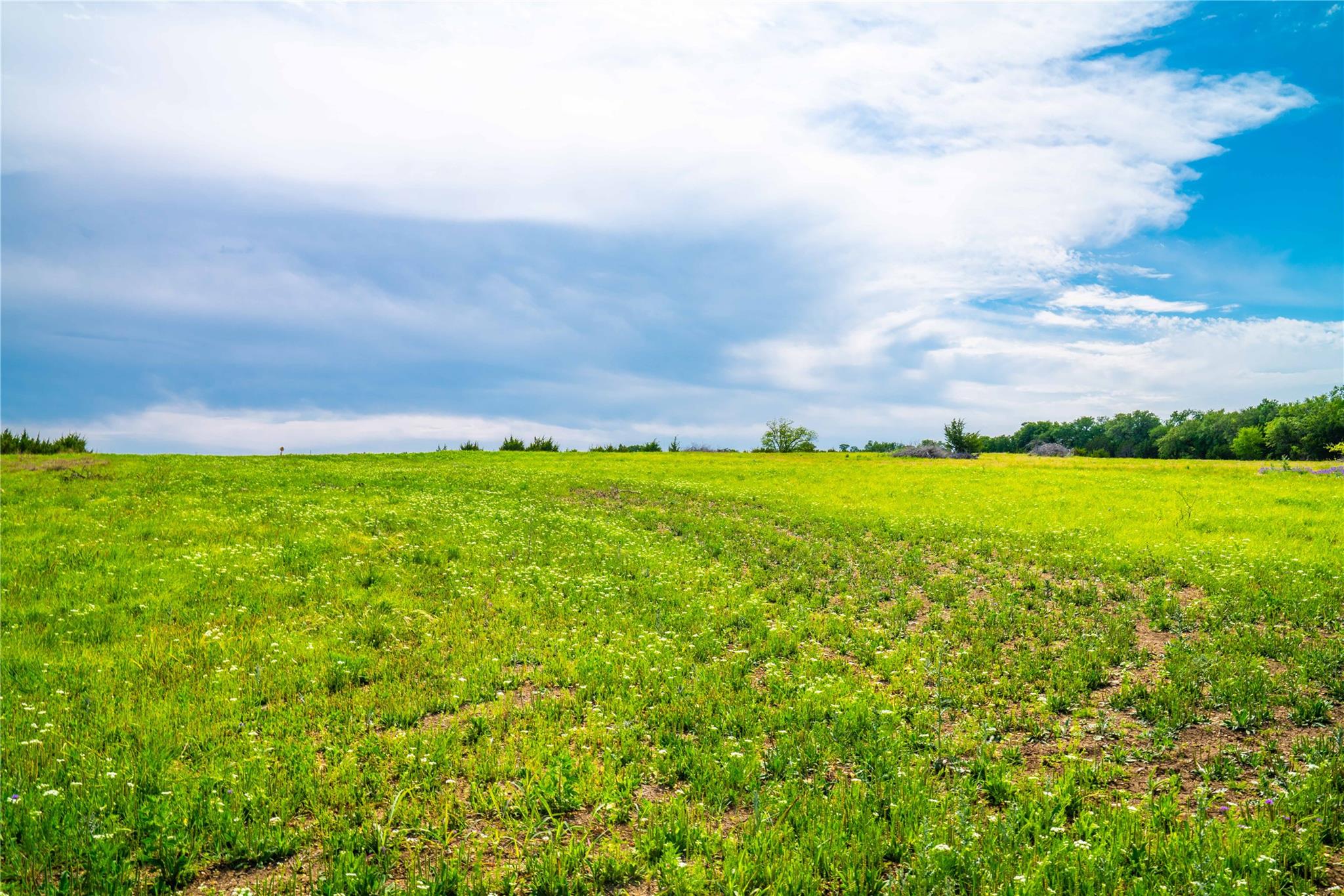 TBD Tracts 5 and 6 CR 251, Georgetown, TX 78633