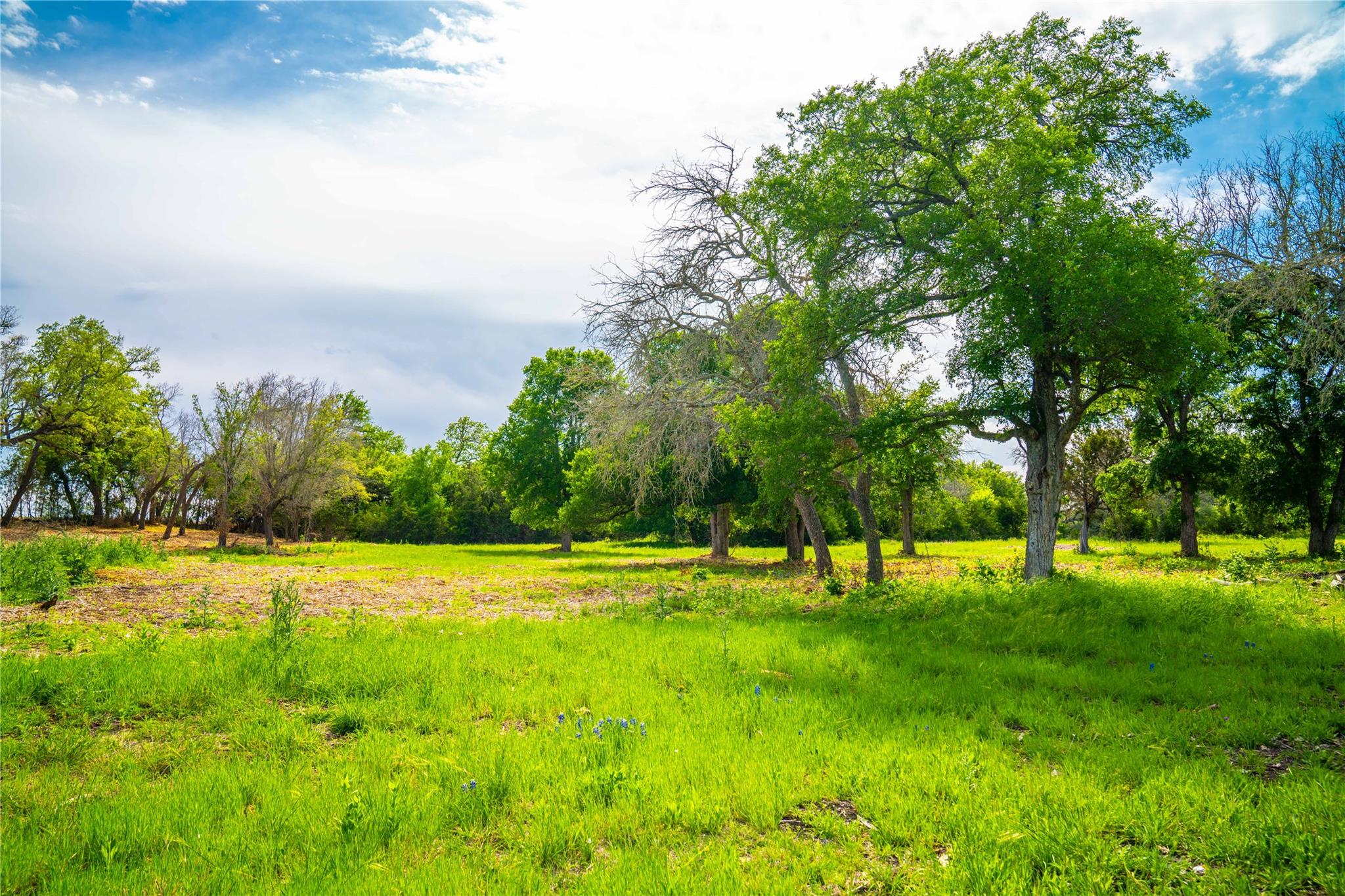 TBD Tracts 5 and 6 CR 251, Georgetown, TX 78633