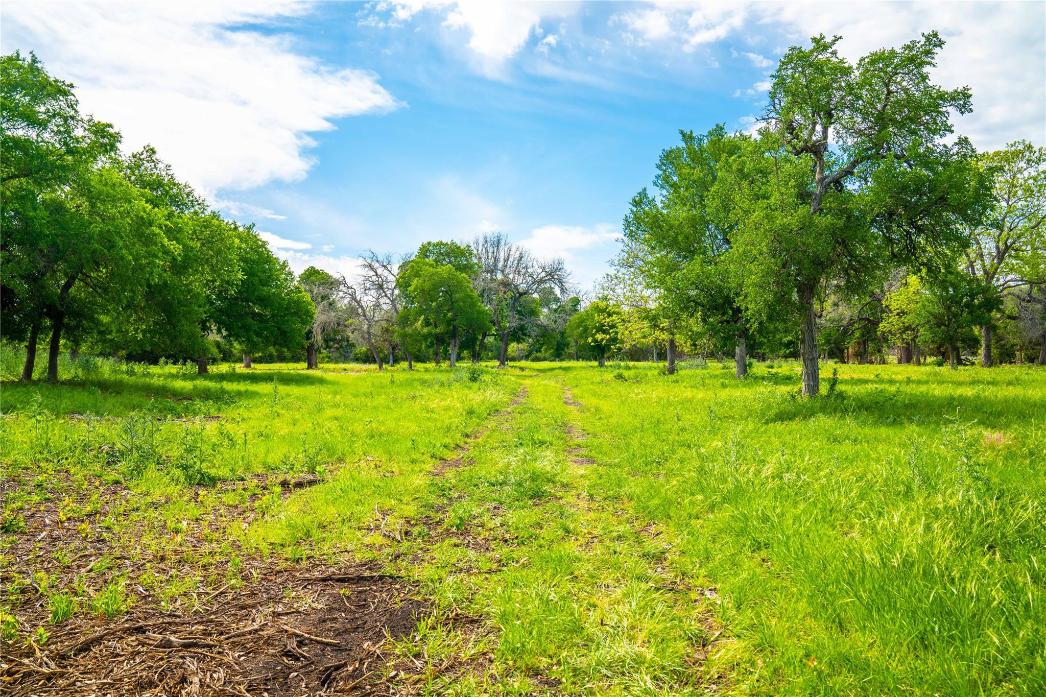 TBD Tracts 5 and 6 CR 251, Georgetown, TX 78633