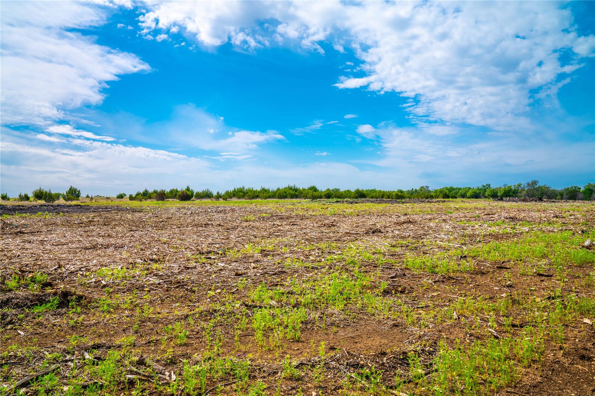 TBD Tracts 5 and 6 CR 251, Georgetown, TX 78633