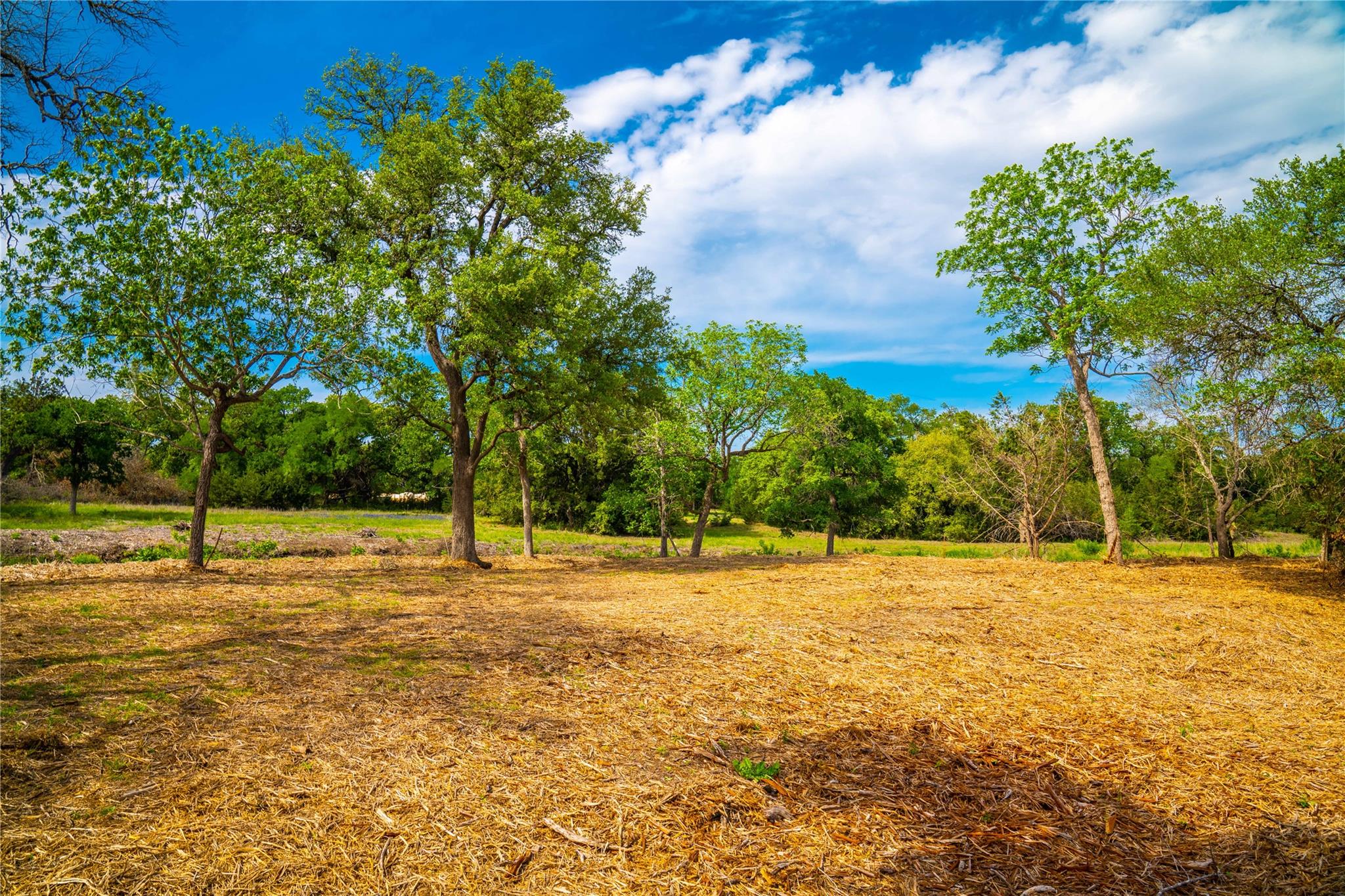 TBD Tracts 5 and 6 CR 251, Georgetown, TX 78633